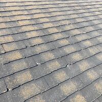画像1404：【宇都宮】屋根塗装