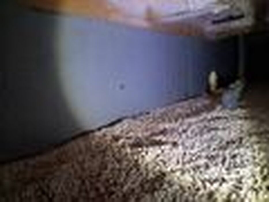 画像1419：【宇都宮】屋根塗装